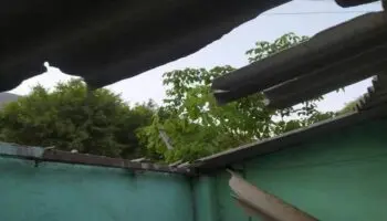 Hay unos 15 desaparecidos en Buenavista, Guerrero; familiares no pueden ir a buscarlos: Padre Fili | Entérate