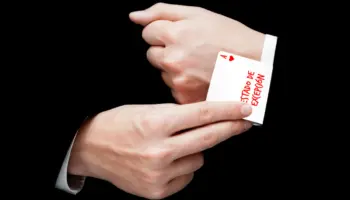 Estado de excepción: democracia al límite