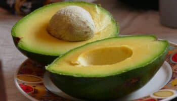 El aguacate de Michoacán, al límite por el apetito voraz del Super Bowl LVIII