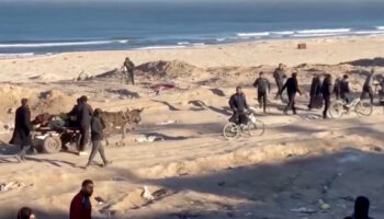 Vergonzoso que ONU no haya logrado alto al fuego en Gaza: MSF | Entérate