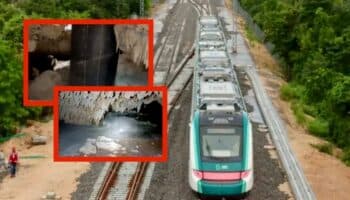 Deforestación, peligro para suelos kársticos y reservas de agua, consecuencias del Tramo 5 del Tren Maya: Greenpeace | Entérate