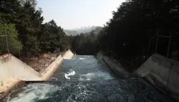 La energía y el agua, entre otras urgencias | Mario Luis Fuentes