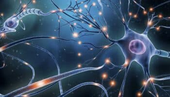 Científicos chinos crean chip para análisis cerebral inspirado en la exploración espacial