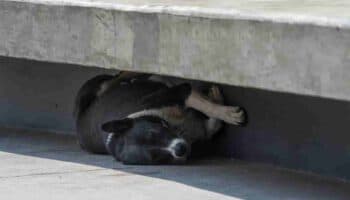 ¡34.4 grados! CDMX con nuevo récord histórico de calor