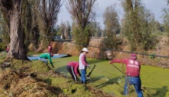 SCJN presenta tres sentencias que protegen al medio ambiente sano