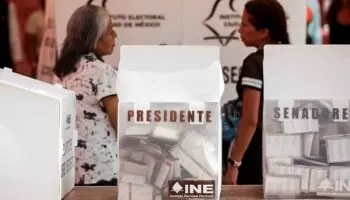 Sonnleitner explica por qué fue diferente la participación en estas elecciones de la de años previos | Video