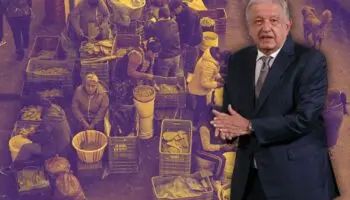 Indolencia y cinismo de AMLO ante los reclamos de los productores | Artículo de Alberto Vizcarra