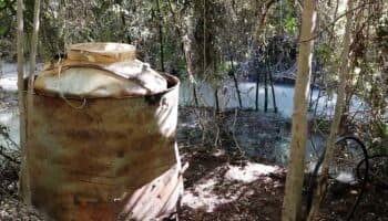 Químicos de narcolaboratorios van a canales y arroyos que llegan a comunidades: Jesús Bustamante | Entérate