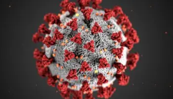 El Covid-19 deteriora el sistema inmunitario a largo plazo: estudio