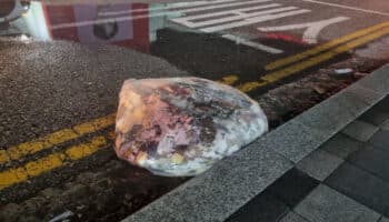 Cae basura norcoreana en la sede del gobierno en Seúl | Video