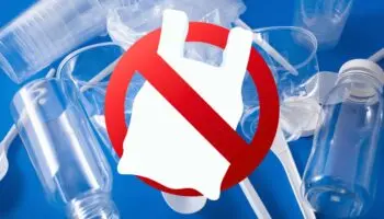 Congreso deberá prohibir plásticos de un solo uso a nivel nacional: Tribunal