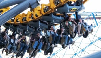 Six Flags quiere tirar 151 árboles para un juego; no hay permiso, dice gobierno