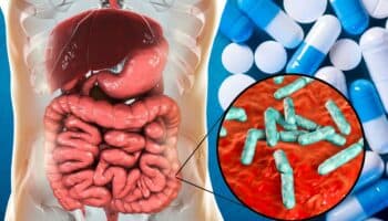 Reconocen dentro del microbioma humano cientos de moléculas como potenciales antibióticos