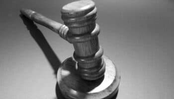 Mirador Político: Alberca sin agua | Jorge Alcocer V.