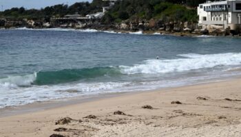 Cierran dos playas de Sídney al aparecer misteriosas bolas negras