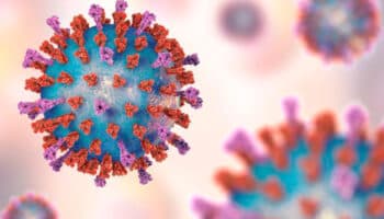 Todos los que nos escuchan ya hemos tenido el virus HMPV; no causa pandemias: Macías | Entérate