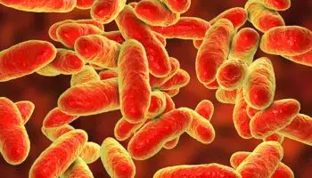 Especialista advierte que la resistencia bacteriana podría ser la principal causa de muerte en 2050