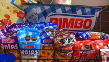 SCJN desestima amparos de Bimbo contra regulación que impide uso de 'osito' en alimentos 'chatarra'