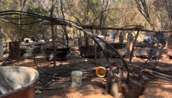 Destruye Marina 'narcolaboratorio' atribuido a 'Los Mayos' con una tonelada de droga sintética