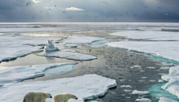 Este es el año en el que el Ártico podría quedarse sin hielo