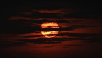 El año 2024 fue más caluroso en México desde 1880: Científicos de la UNAM