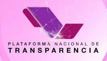 Existe el riesgo de que la Plataforma Nacional de Transparencia no continúe: especialista