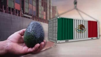 Así se verán afectados los consumidores estadounidenses por los aranceles a México y Canadá