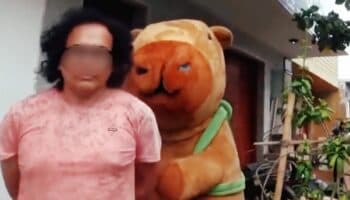 Video | “Capibara del amor” arresta a narcotraficante