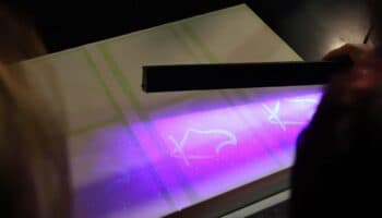 Elección Judicial | Más de 136 mil personas presentan solicitud ante INE para fungir como observador electoral