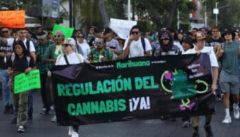 Miles exigen en México regulación para consumo y uso recreativo de cannabis