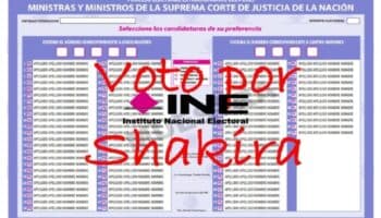 INE considera válidos los votos de protesta como el 'Voto por Shakira': Alcocer