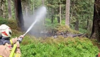 Mueren 4 pasajeros de una avioneta alemana al estrellarse en Austria