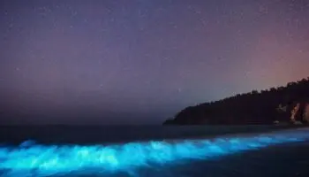 El plancton bioluminiscente #Niñonautas con Kirén Miret