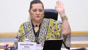 INE dividido aprueba multas por acordeones; Taddei acusa 'ilegalidad'