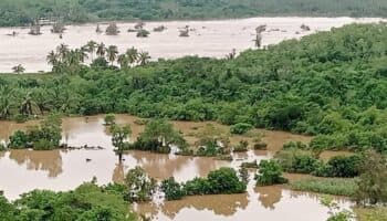 Habitar resiliente | De la tormenta a la unión: lecciones de Guerrero