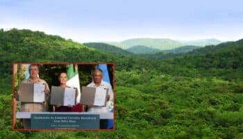 WWF congratula a México, Guatemala y Belice por la 'Declaración de Calakmul'