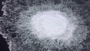 Detienen en Italia a ciudadano ucraniano por el sabotaje al gasoducto Nord Stream en 2022