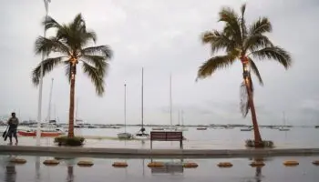 Suspenden clases y labores en oficinas en BCS por huracán Lorena