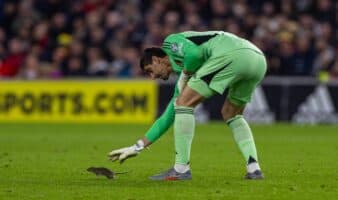 Rata deja en evidencia al Cardiff City FC y su política de control de plagas | Video