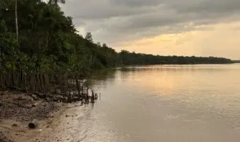 La Amazonía quilombola: un bosque preservado que es amenazado por un basurero masivo