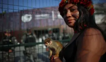 Manifestantes indígenas Munduruku bloquean ingreso a la COP30