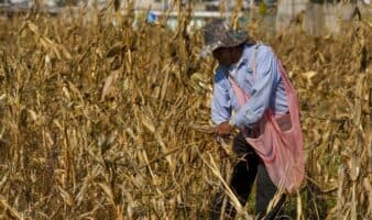 Pagar agua a Estados Unidos causaría 'mucha hambre' a la región fronteriza de México: Agroindustriales