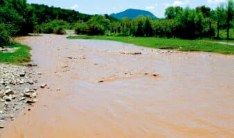 A 11 años del derrame del río Sonora, persisten daños y señalamientos contra Grupo México: periodista