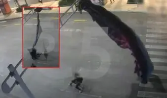 Video | Aterrizaje fallido: Paracaidista queda atorado en semáforo de la CDMX