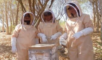 Revivir al Río Colorado: Utilizan abejas y agua para restaurar el delta que unía a Estados Unidos con México