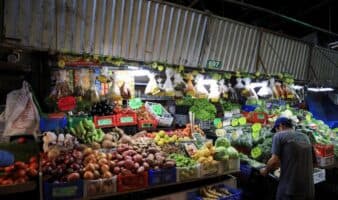 Día Internacional del Desperdicio Cero: Guterres urge reducir alimentos