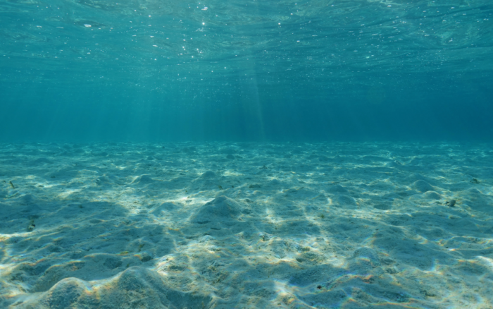 Hallan fósil de pez óseo más antiguo conocido; data de unos 436 millones de años