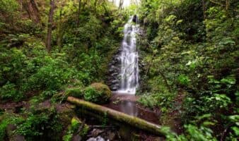 SCJN falla a favor de la protección del Parque Nacional Benito Juárez en Oaxaca