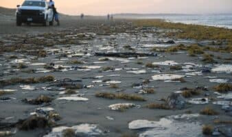 Pemex: Fuga en ducto provocó derrame de hidrocarburo en el Golfo de México