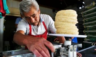 ¿Subirá el precio de la tortilla? esto dicen productores y el gobierno